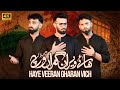 Haye Veeran Gharan Vich Vichora Kazmi Brothers New Nohay 2025 Moharram Album 2025
