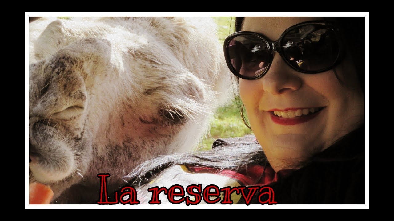 #vlog #Castillodelasguardas #Animales Visita a la reserva del Castillo de las Guardas