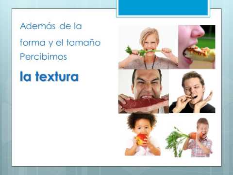 Importancia sentido del tacto