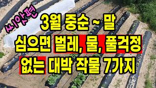 3월 중순 ~ 말 사이 심으면 벌레, 물, 풀 걱정없이 키울 수 있는 대박 작물 7가지