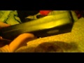 VHS Update 10 29 14