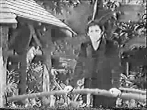 Shakin' Stevens - Rock & Pop Award 1983