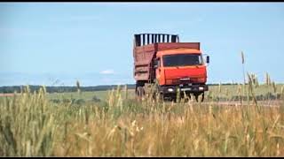 Ликвидация несанкционированной свалки в городском поселении Мишелевка