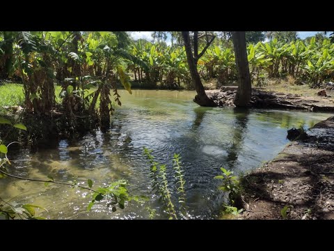 💎 FAZENDA DE 4.587 HECTARES EM MAMBAÍ-GO: OPORTUNIDADE NA DIVISA COM A BAHIA