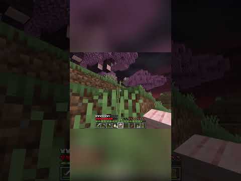 Sky Village Discovery!