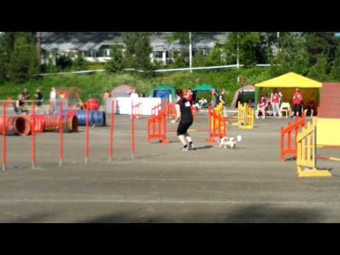 Pauliina ja Niki tikkakoski 5 15 6 2012