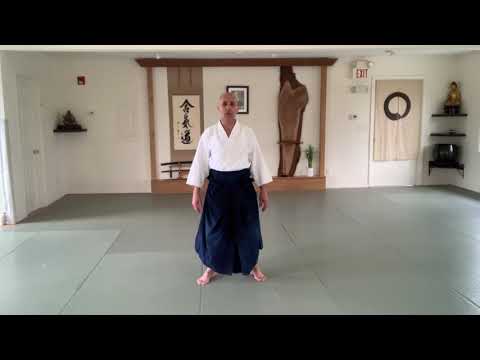 Yokomen Uchi Shiho Nage