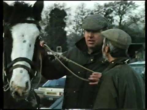 Country Ways - Frensham Ponds in February
