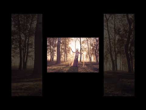 A morning photoshoot with fog 4