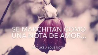 &quot;Bring on the night&quot; THE CORRS (subtítulos español) Album version