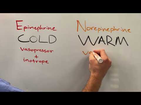 Pocket PEM Vasopressors and Inotropes
