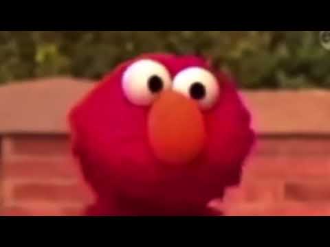 Elmo hating on Rocco for 40 seconds