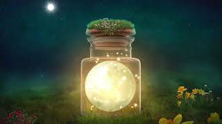 4K No Copyright Videos | Motion Graphics | Background | Animation | Video Clips//Vidro// Luz