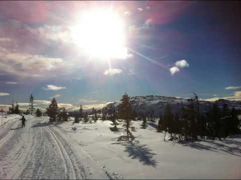 With you  - Linde Sagen