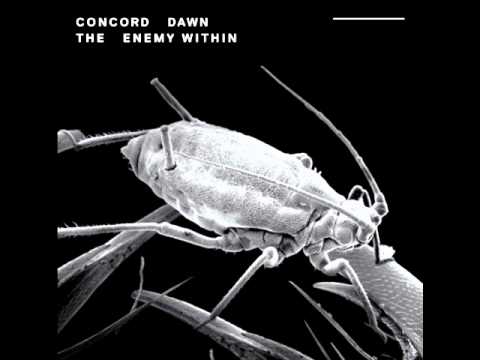 Concord Dawn feat. Jdubs - Move