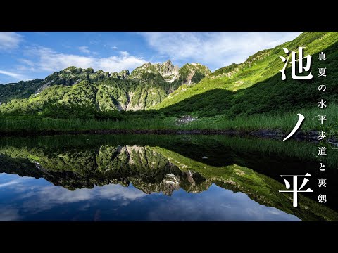 【池ノ平・テント泊登山】真夏の水平歩道と裏剱。[3泊4日・黒部峡谷〜仙人池]