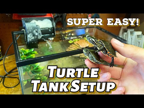 How To Setup THE BEST Baby Turtle Tank!! (EASY)