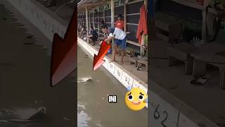 Download lagu THIS FISHERMAN Caught a Super Big Pomfret ‼️ #shorts #fishing #mancing mp3