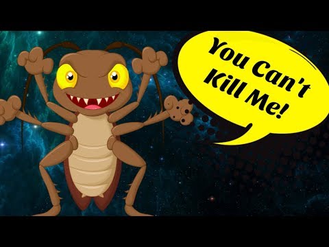how are cockroaches so hard to kill