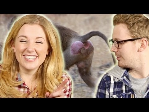 Why Do Pets Lick their Bums? | Earth Unplugged