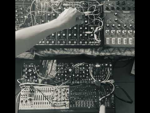 DTM・DAW Black Corp Deckard's Voice + Rachael BLACK CORPORATION