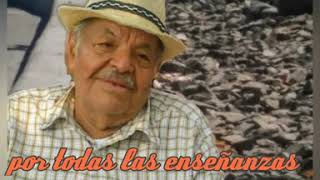 Vicente fernandez Amor en sombras