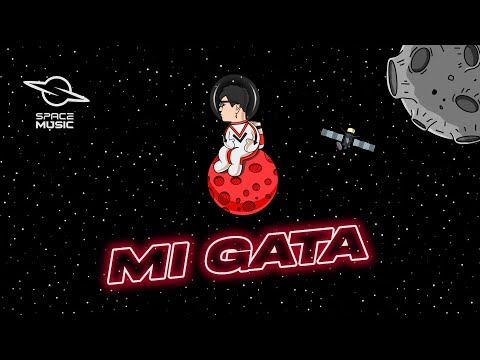 Mi Gata ( Toma Tussi Remix ) - Jona Mix , Dj Nef