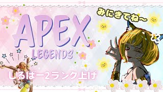 【Apex】深夜帯😺ランク上げゴールドいきたい😳