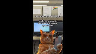Boss What are you working on?  Me On the phone with The Cruise Web booking my next cruise