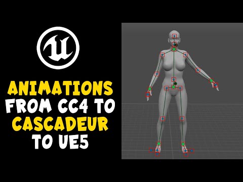 Export CC4 Characters to Animate with Cascadeur & Export to UE5 Unreal Engine