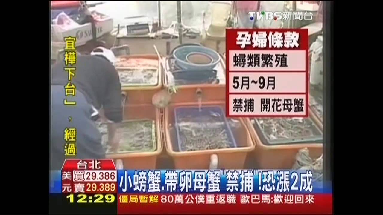 小螃蟹、帶卵母蟹「禁捕」! 恐漲2成