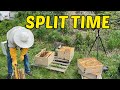 Beekeeping This Way Of Making A Split Works So Well