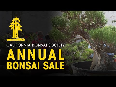 California Bonsai Society's Annual Bonsai Sale Teaser Video!