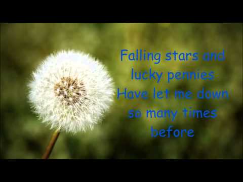 download lagu mp3 mp4 Kacey Musgraves Dandelion, download lagu Kacey Musgraves Dandelion gratis, unduh video klip Kacey Musgraves Dandelion
