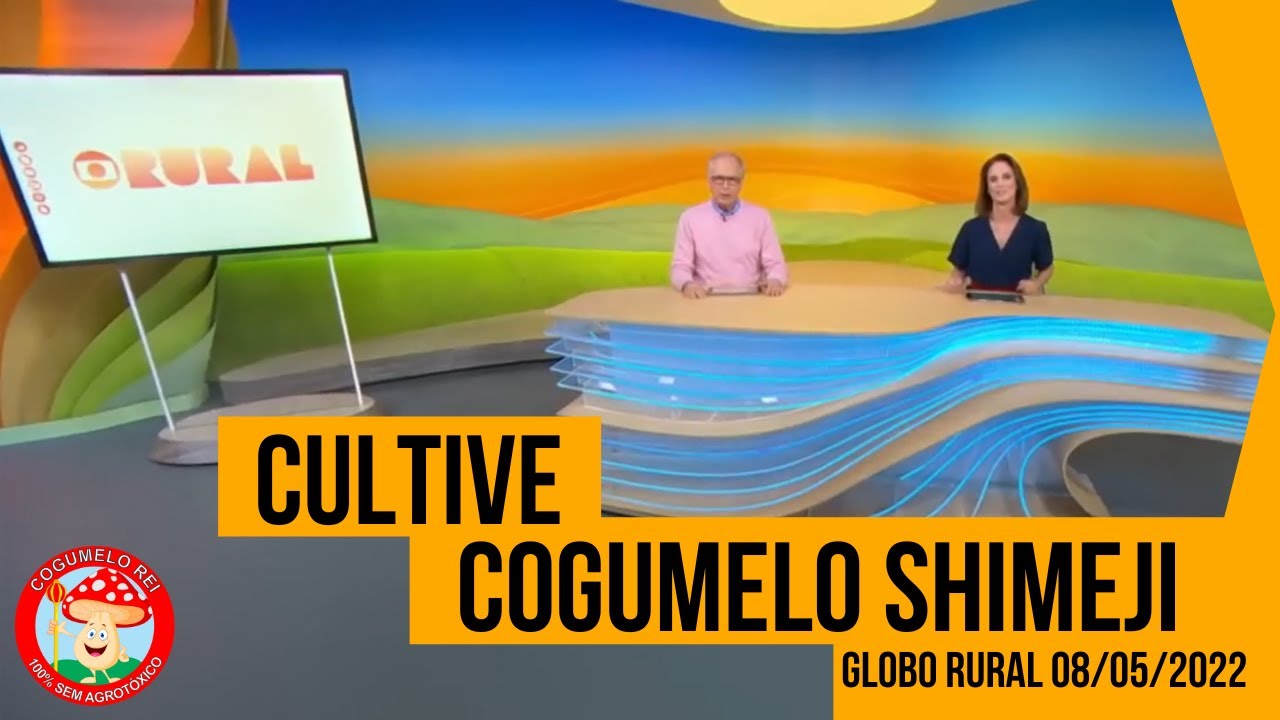 GLOBO RURAL - COMO CULTIVAR COGUMELO SHIMEJI 08/05/2022