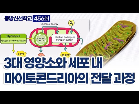 기초(숨) 수행과정