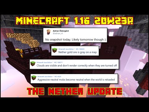 Minecraft 1.16 - No Snapshot 20w23a - News & Bug Fixes!