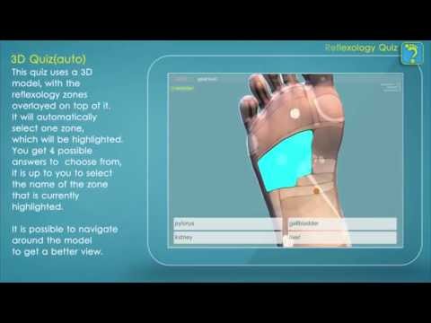 Reflexology Quiz 3D Video