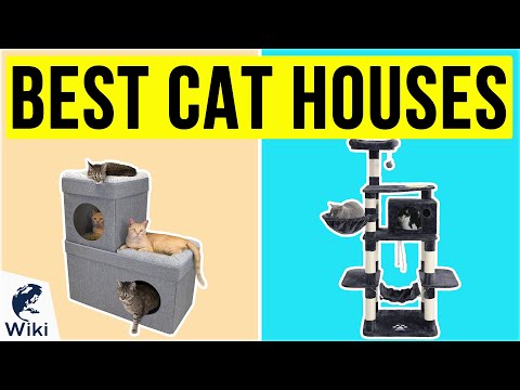 10 Best Cat Houses 2020