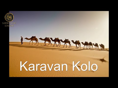 Sadin Idić (Mića Nikolić) - Karavan Kolo