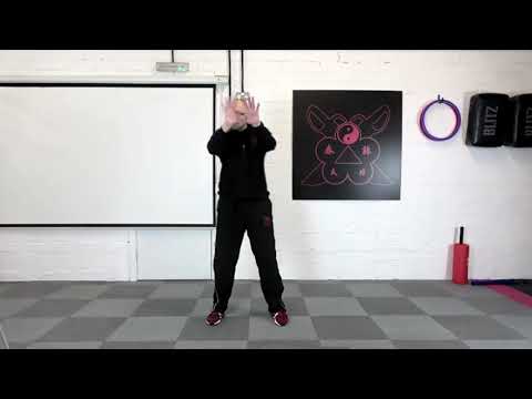 Wing Chun starting positions and review