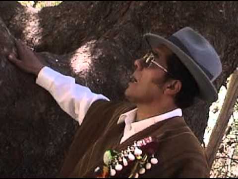 8 de diciembre (dia de la concepción)