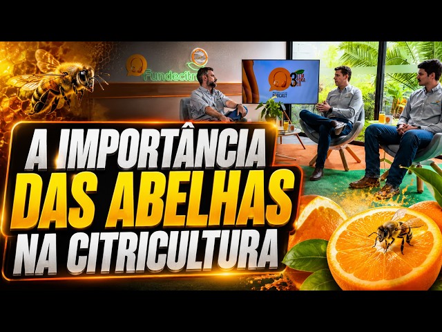 A importância das abelhas na citricultura.