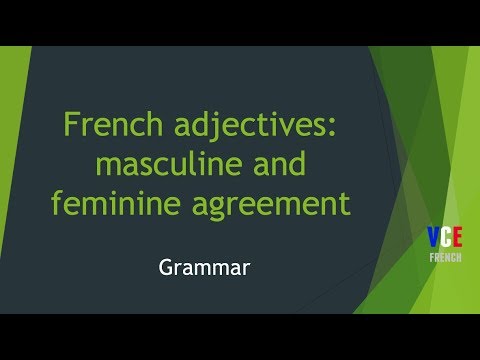 Feminine and Masculine French adjectives