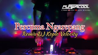 Download lagu DJ Percuma Ngarepang - Evan Daryata Remix DJ Koplo Velocity Viral Tiktok 2026 mp3