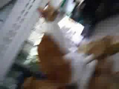 Sadhu wishes for a good home