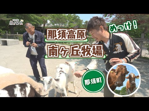 U字工事の旅！発見#301　那須高原 南ヶ丘牧場　～栃木県・那須町～