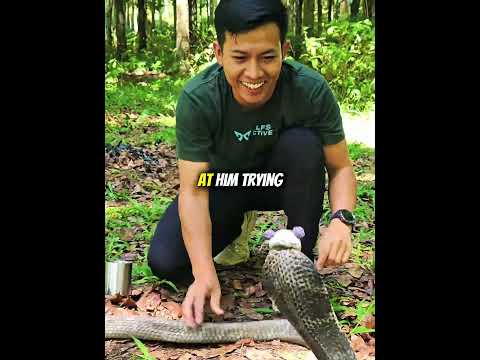 This boy becomes friends with a king cobra.