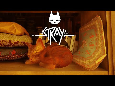 STRAY| Cat sleep in library 1 hours version| The notebooks soundtrack