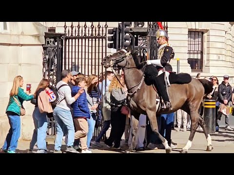 IDIOTS BLOCKED ORMONDE'S WAY THEN THEY GOT WHAT THEY DESERVED